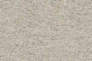 Ковролин AW Invictus Heroicus 05 фото  | FLOORDEALER